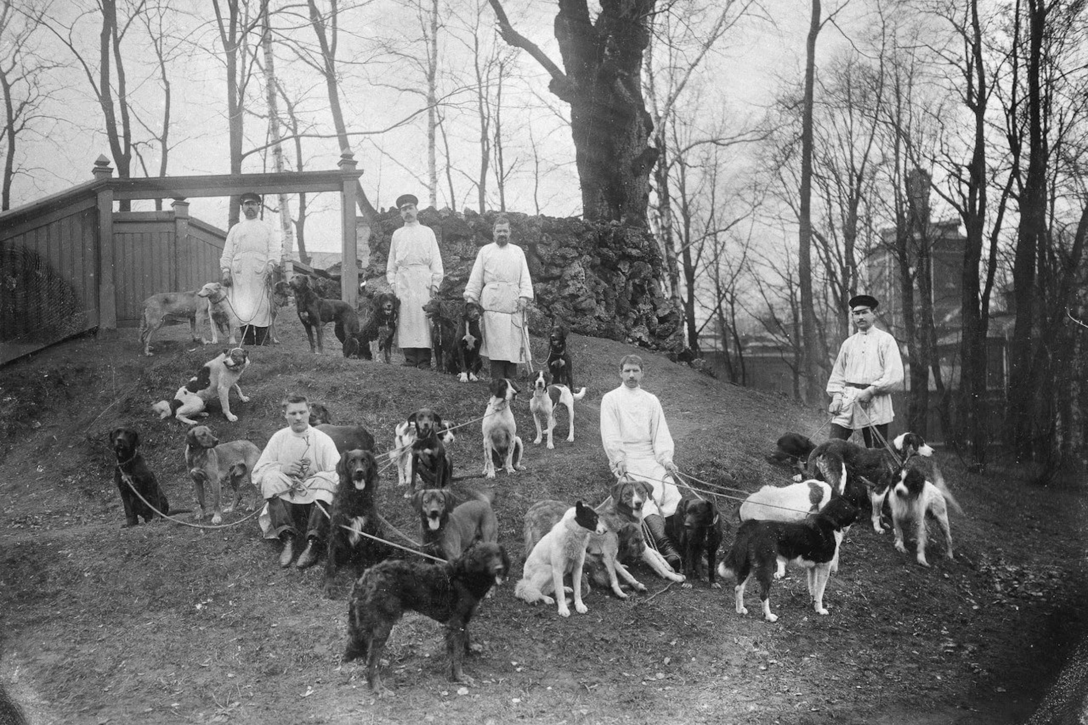 Собаки со служителями